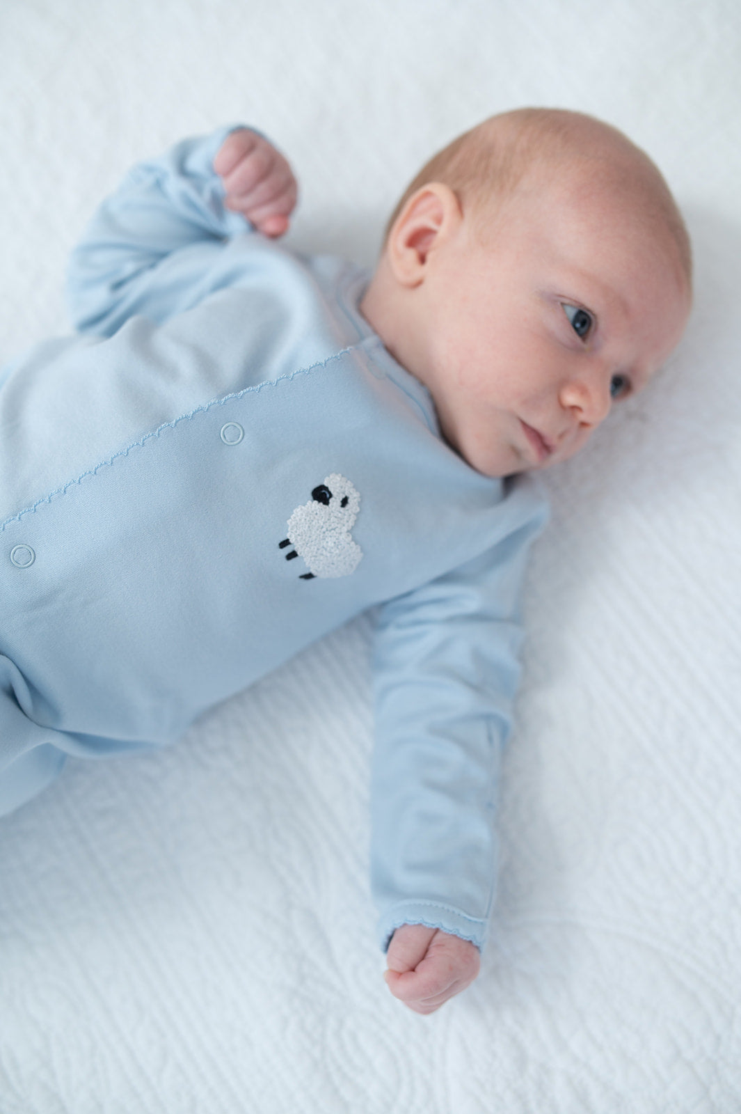 Converter Gown Lamb
